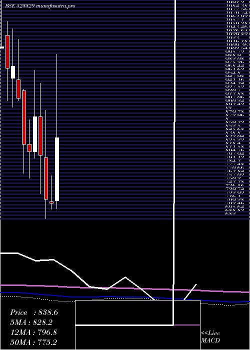  monthly chart EldecoHous