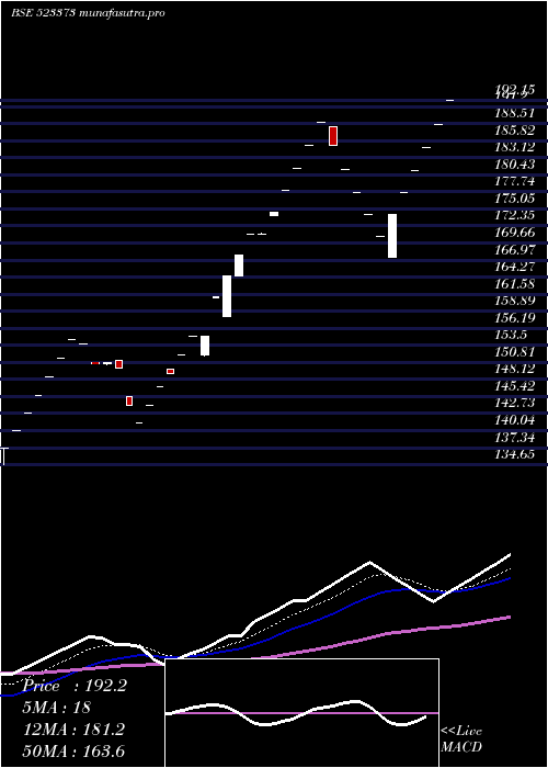 Daily chart MiniDiamond