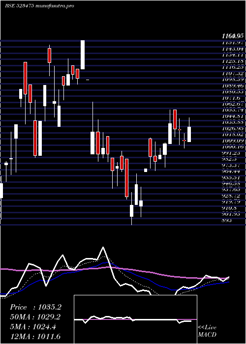 Daily chart LotusChoc
