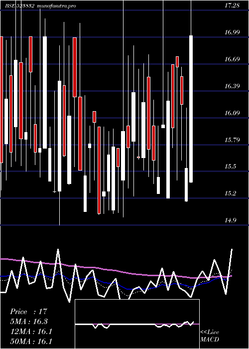  Daily chart MukatPipes