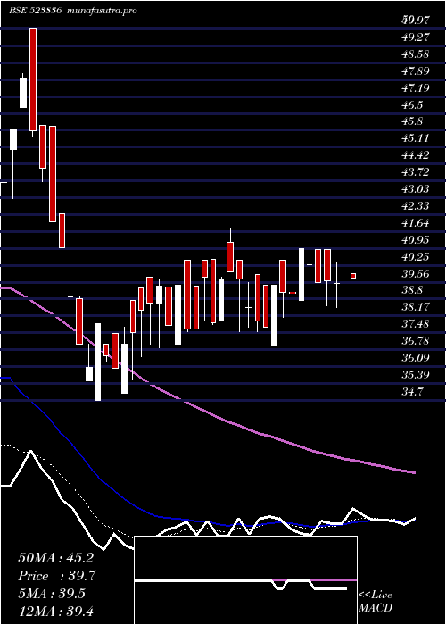 Daily chart GujRaffia