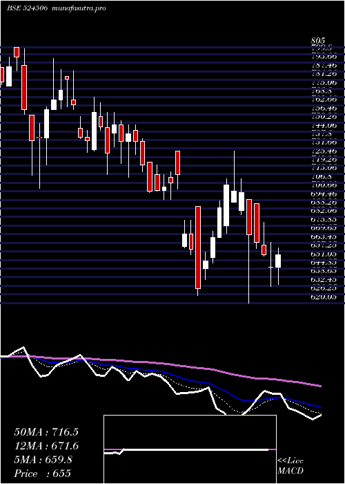 Daily chart CoralLab