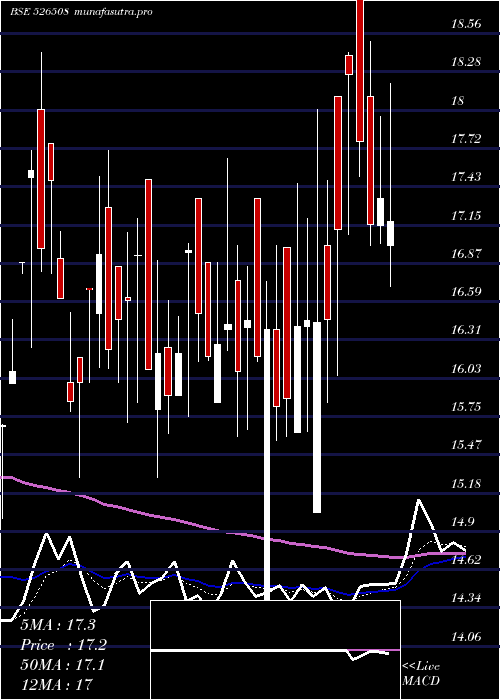  Daily chart Shahiship