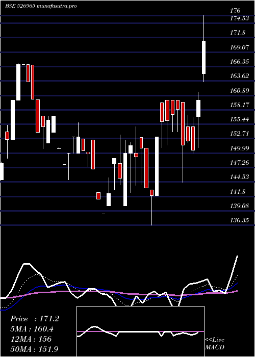 Daily chart GujCraft