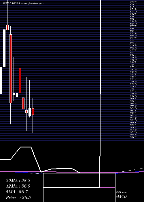 monthly chart SamyakInt