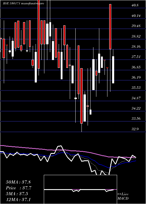 Daily chart DaulatSec