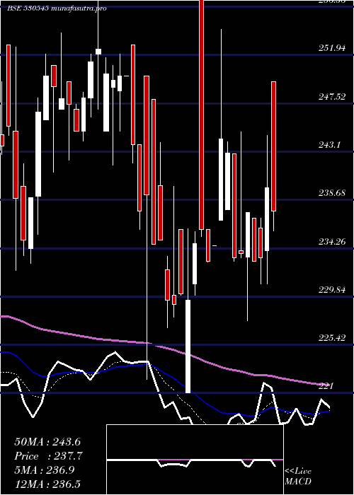 Daily chart CoscoIndia