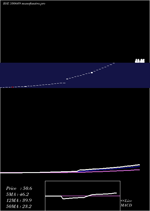 Daily chart CarnationIn