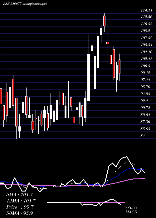 Daily chart SupremeHo