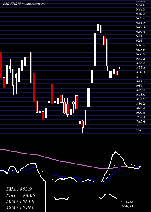 Daily chart NucleSoft