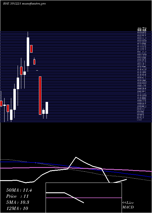 monthly chart MayurFloor