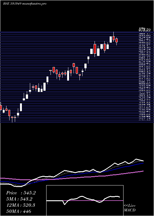 Daily chart PanaceaBiot