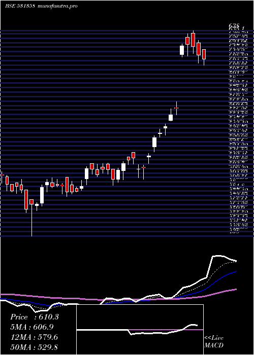  Daily chart ChoiceInt