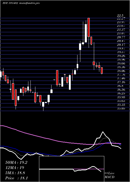 Daily chart LwsKnitwear