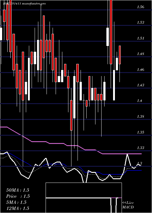 Daily chart TuniTextile