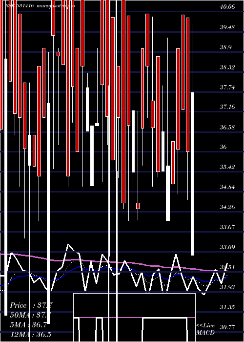  Daily chart NarendraPro
