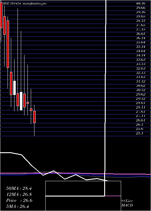 monthly chart PolylinkPol