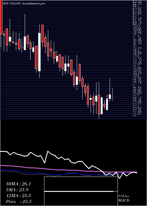 weekly chart TranscorpIn