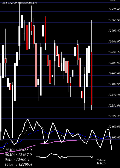  Daily chart Marutisuzuk