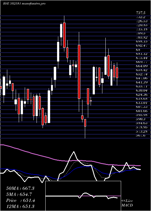  Daily chart Star