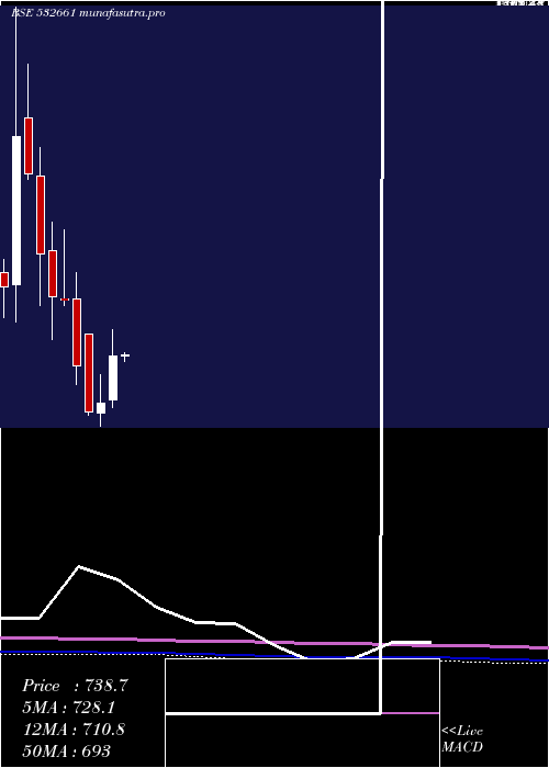 monthly chart RaneMadras