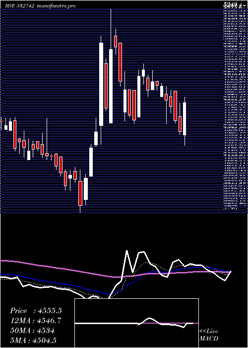 Daily chart Paushak