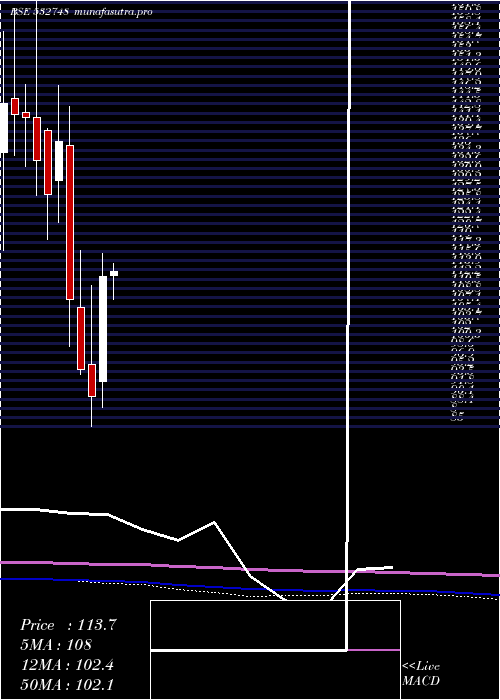 monthly chart PrimeFocus