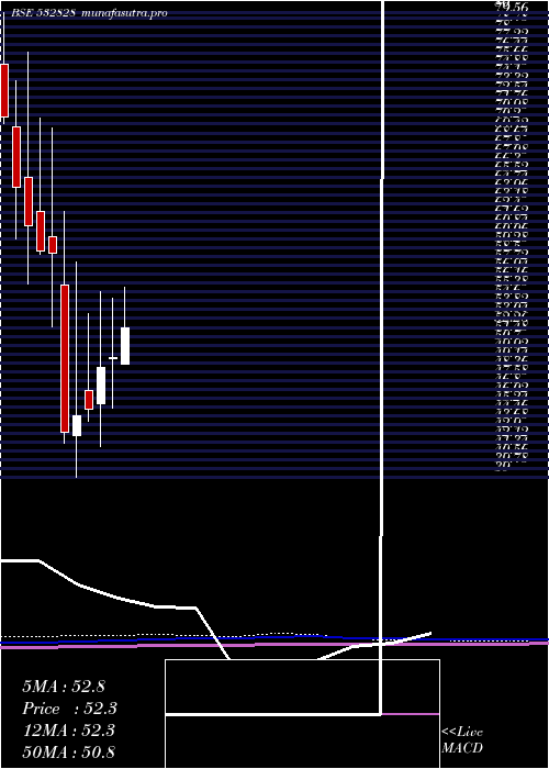 monthly chart AmdIndus