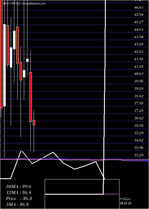 monthly chart MblInfra