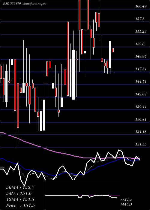  Daily chart TamboliCap