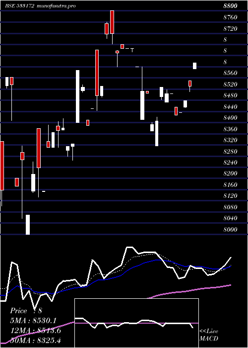 Daily chart Ivzingold