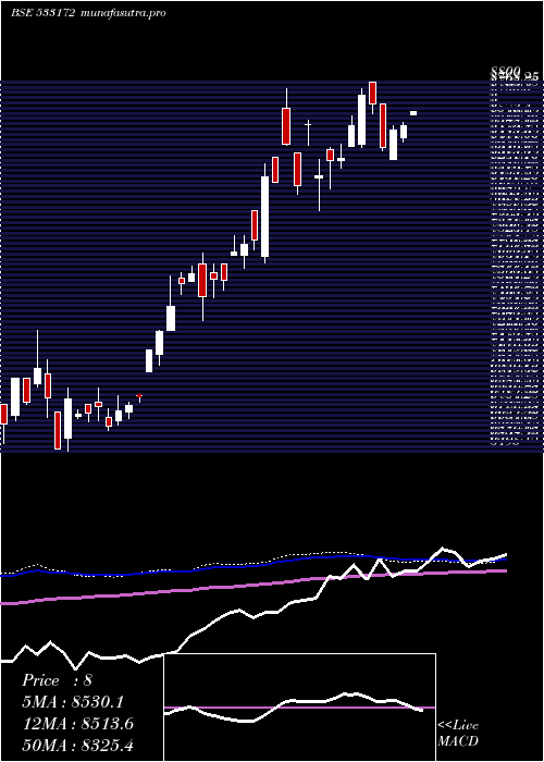 weekly chart Ivzingold