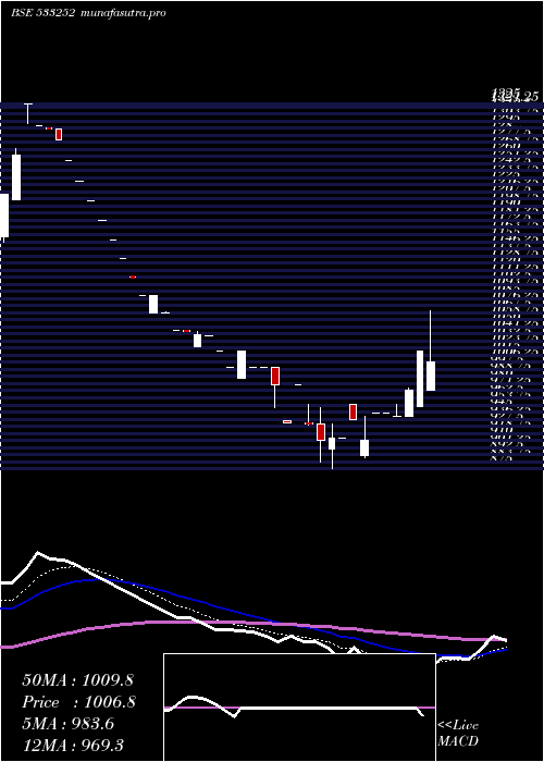 Daily chart WelspunInv