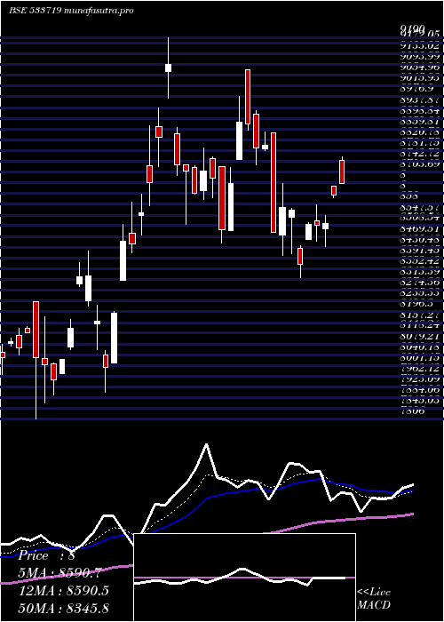 Daily chart Idbigold