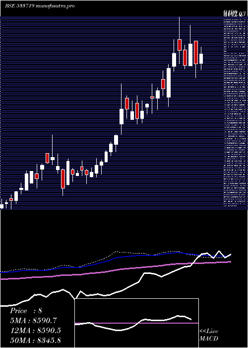 weekly chart Idbigold