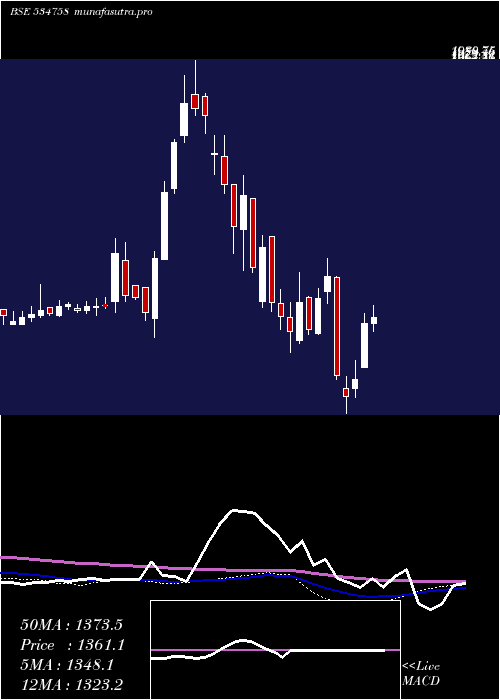 weekly chart CignitiTech