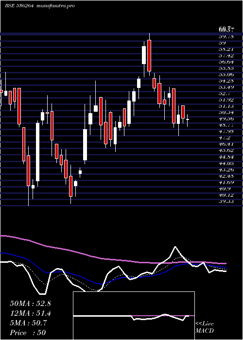  Daily chart TigerLogs
