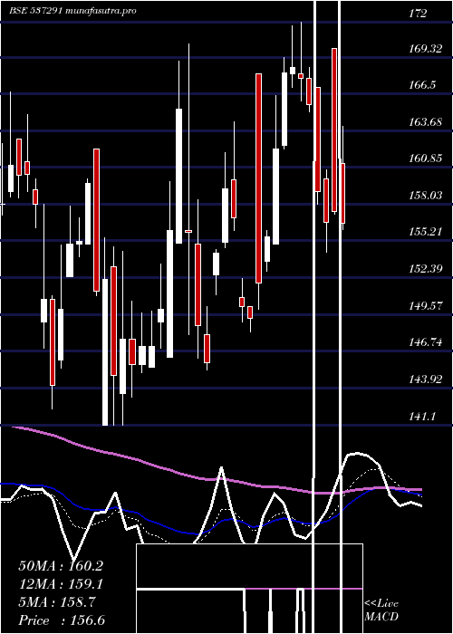  Daily chart NathBiogen