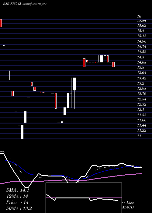 Daily chart Goldcoinhf