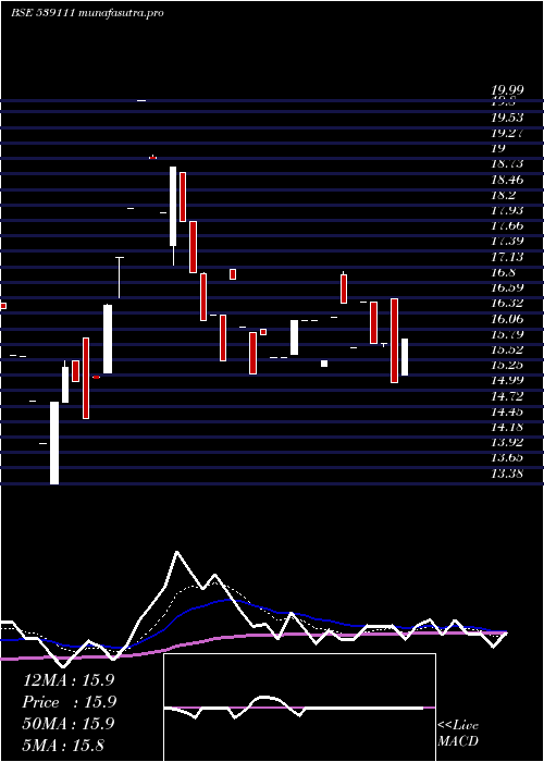 Daily chart Sheshainds