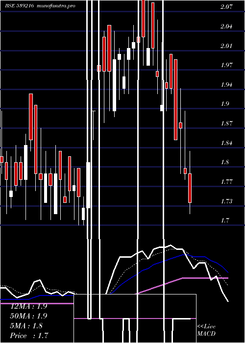 Daily chart Garmntmntr
