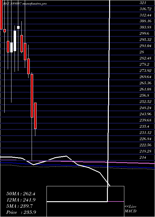monthly chart Waaree