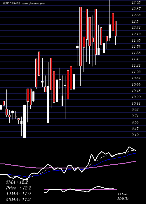 Daily chart Garbifin