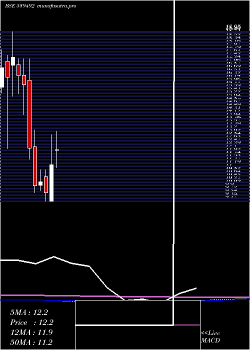 monthly chart Garbifin