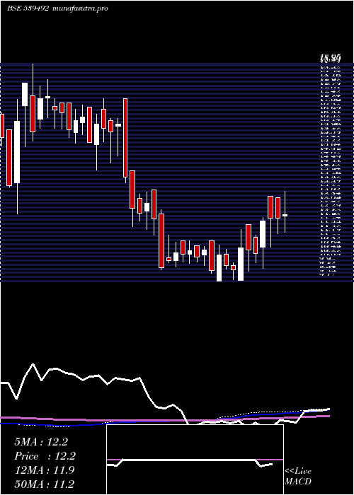 weekly chart Garbifin