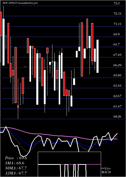 Daily chart Vidli