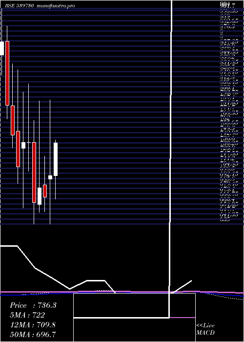 monthly chart Fredun
