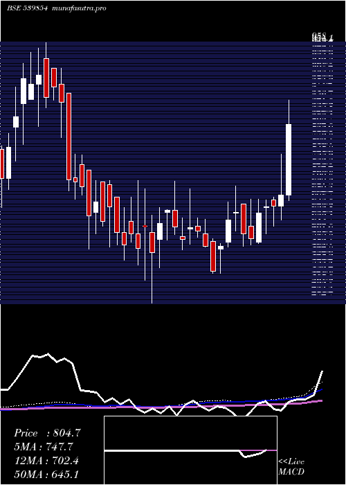 weekly chart Halder