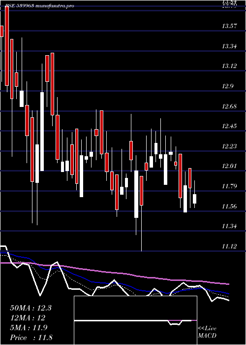  Daily chart Zeal