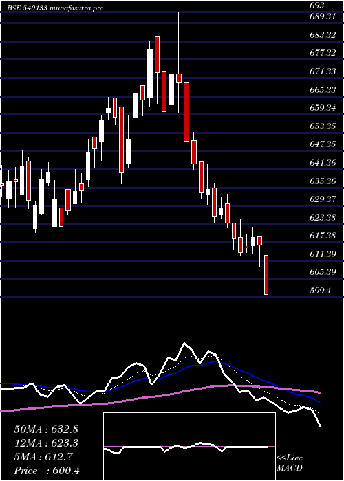 Daily chart Icicipruli